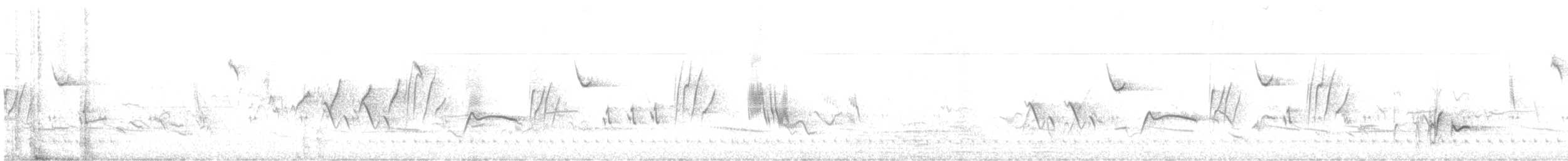 stripehodeirisk - ML643143536