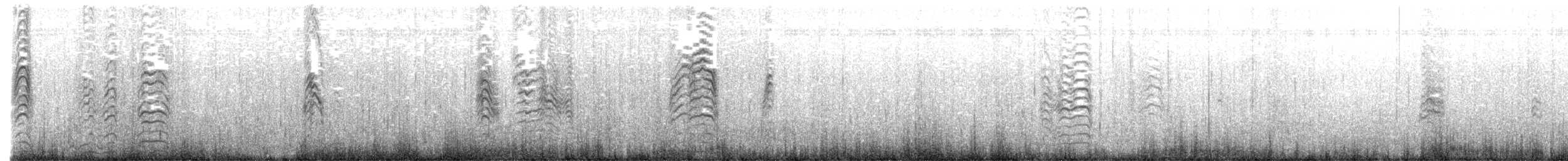 Puffin à pieds roses - ML643143698