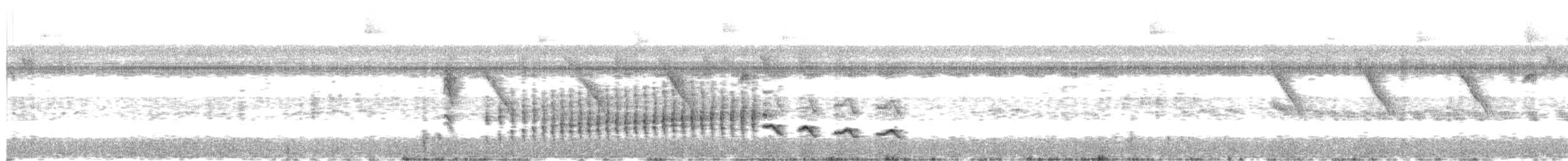 Long-billed Gnatwren - ML643143930