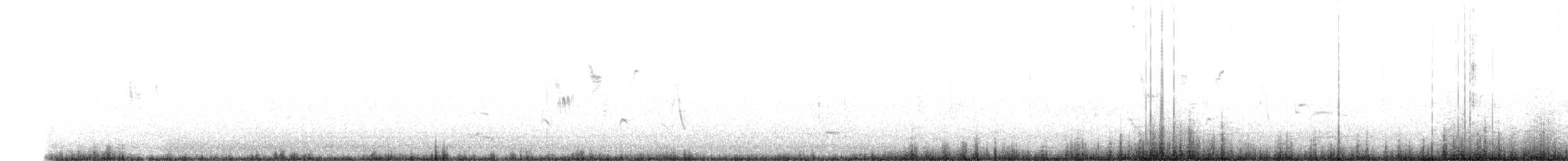 Correndera Pipit - ML643145493