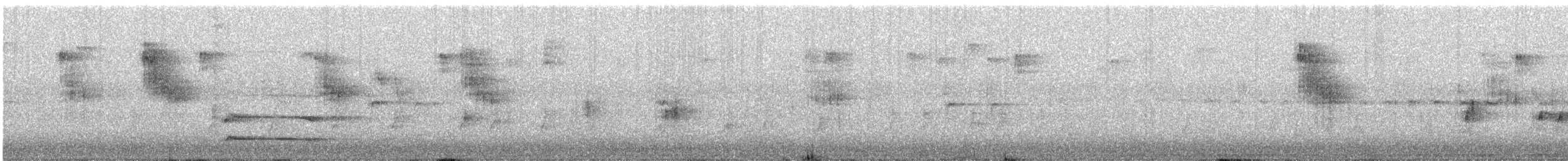 Black Woodpecker - ML643146099