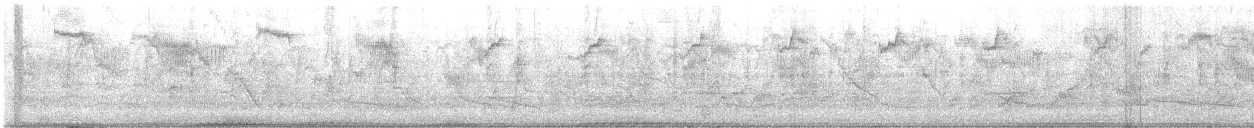 stær - ML643146419