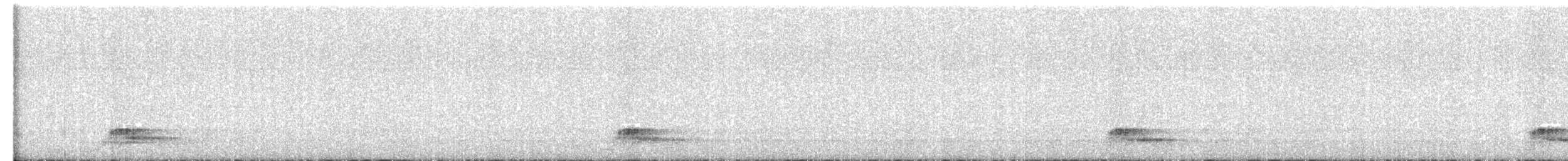 pauraquenattravn - ML643146640