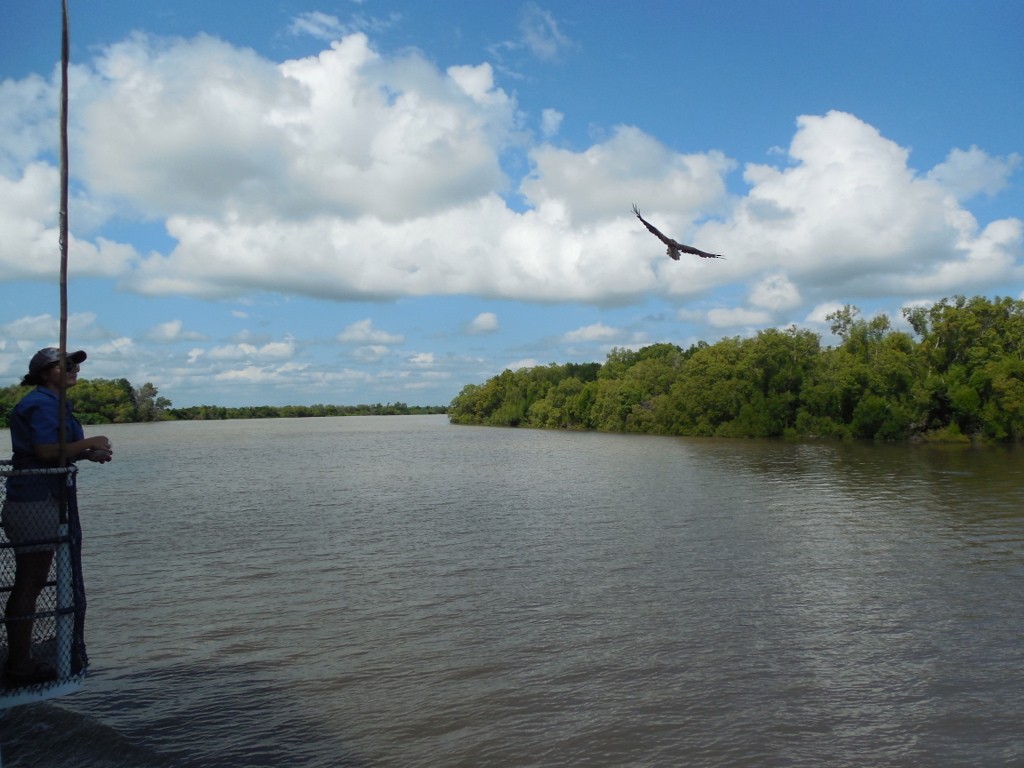 plystreglente - ML643147346