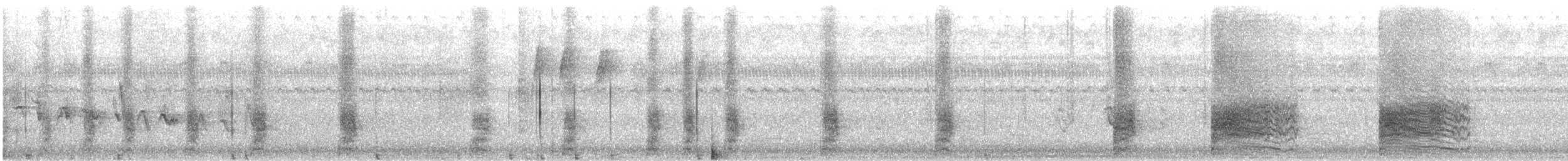 灰松鼠 - ML643148879