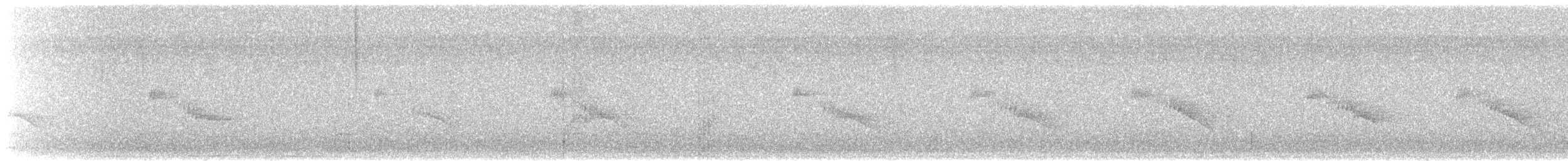 Troglodyte familier (groupe brunneicollis) - ML643150921