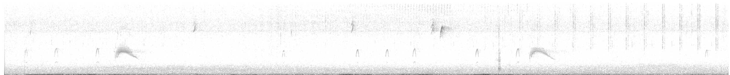 Couch's Kingbird - ML643151199