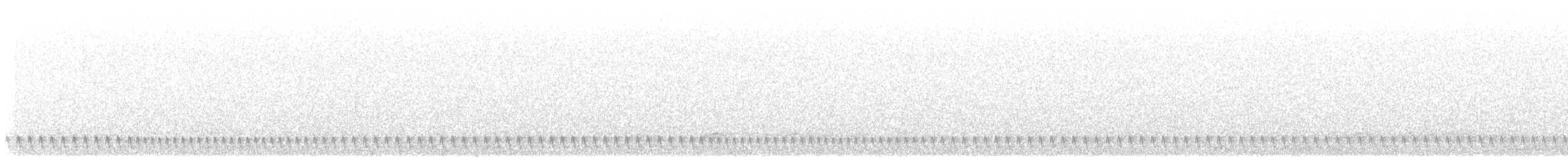 Square-tailed Nightjar - ML643153741