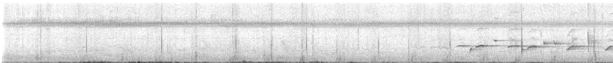 trupiál baltimorský - ML643154288