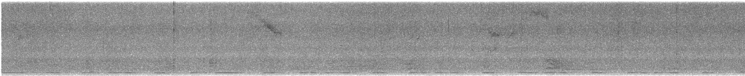 クロコウウチョウ（aeneus グループ） - ML643155382