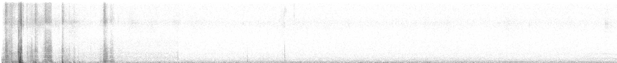 Indian Peafowl (Domestic type) - ML643155678