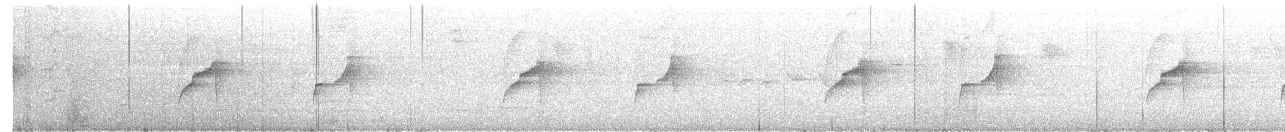 Gray-bellied Spinetail - ML643155972