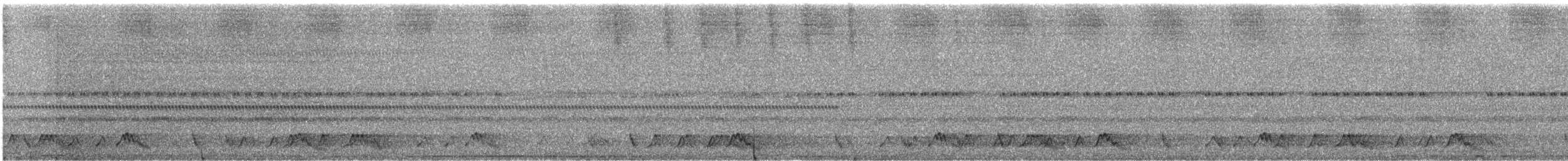 アカヨタカ - ML643156445