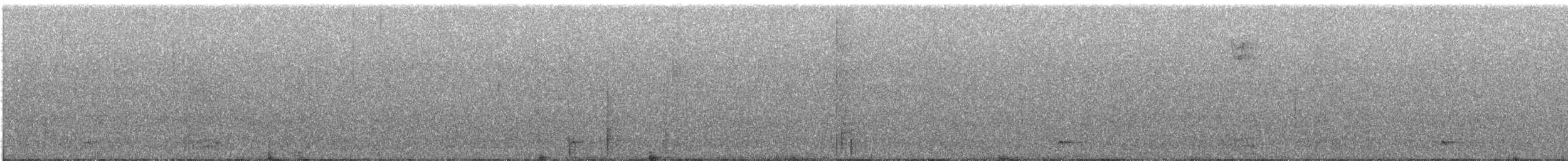 Northern Saw-whet Owl - ML643156477