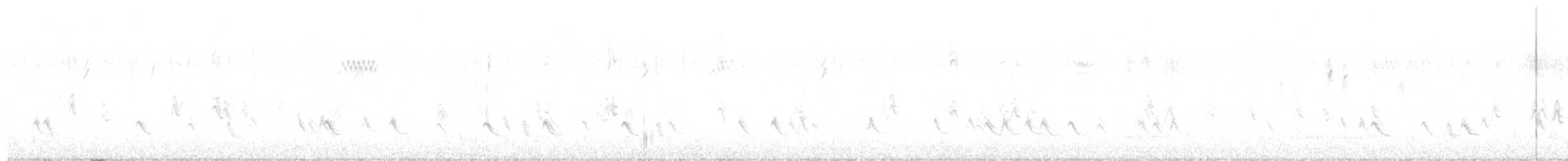 Western Bluebird - ML643156998