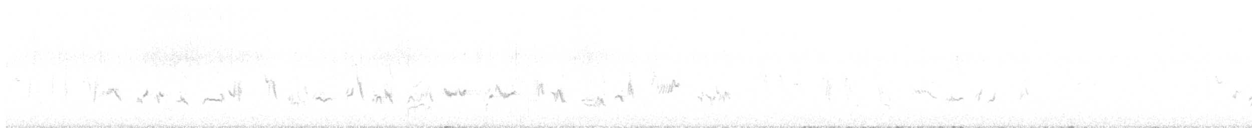 gråsolitærtrost - ML643157035