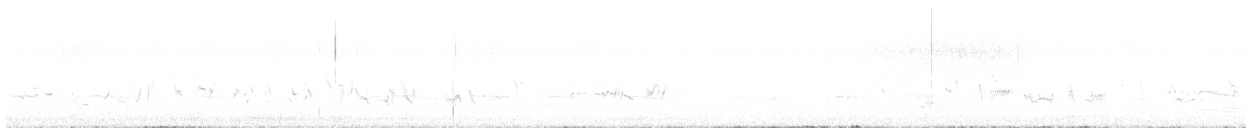gråsolitærtrost - ML643157037