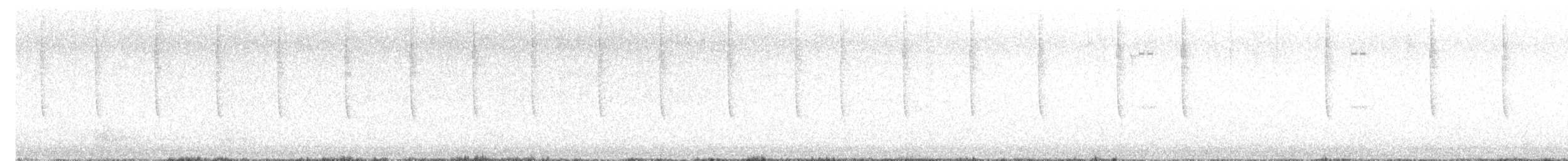 Broad-tailed Hummingbird - ML643157250