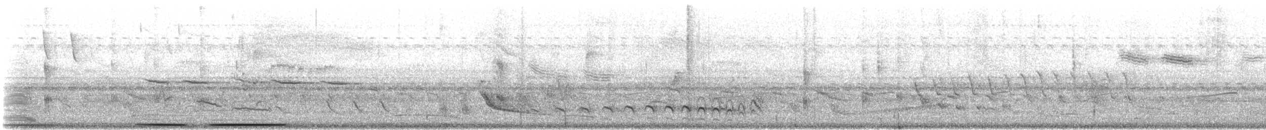 holub bledočelý - ML643158232