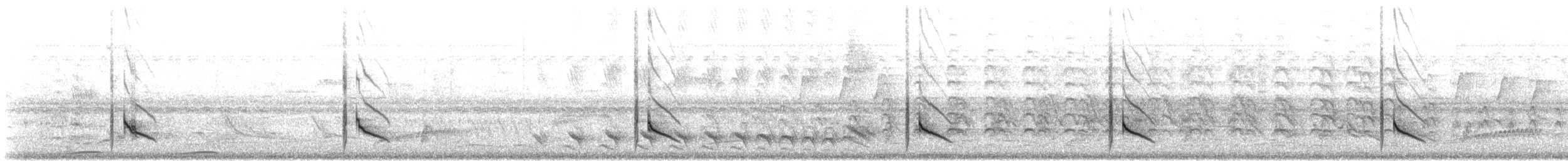 Large Elaenia - ML643158577