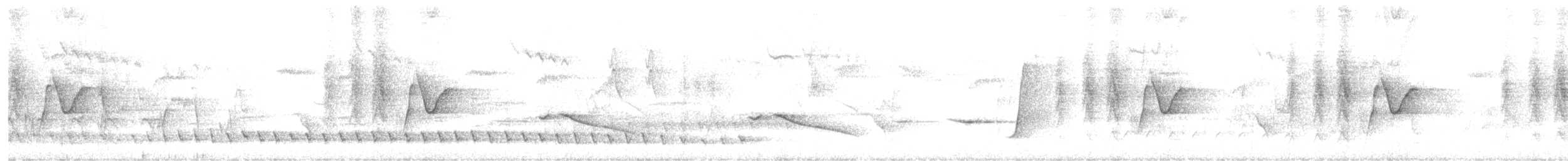 White-eared Monarch - ML643158957