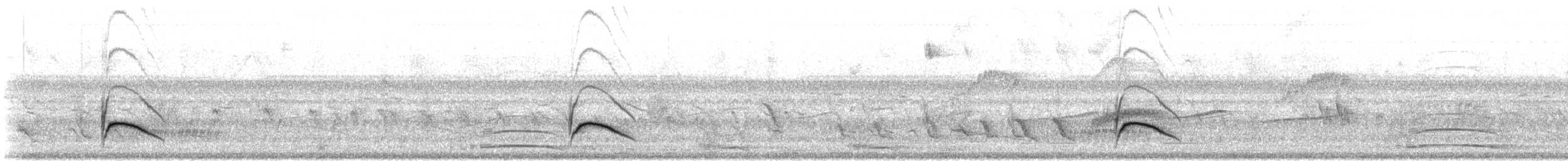 Large Elaenia - ML643159088