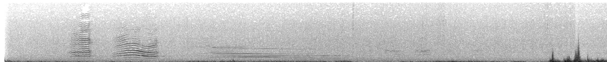 Australian Raven - ML643162100