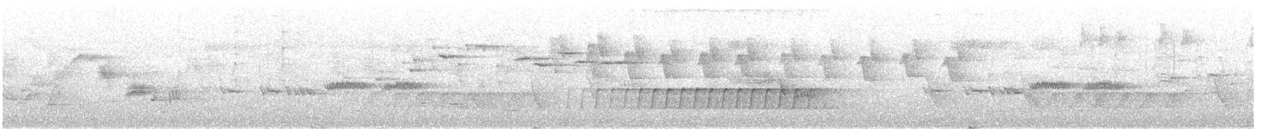 rosenflueskvett - ML643164421