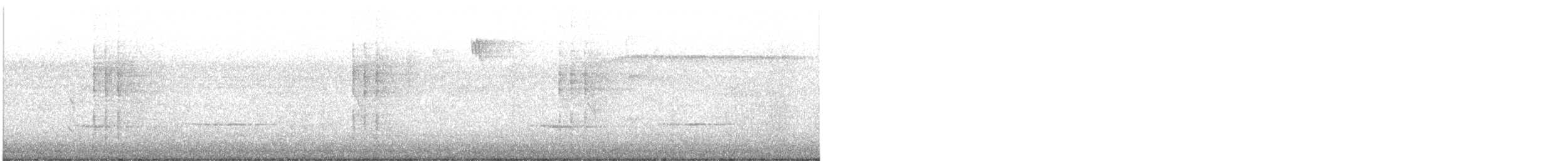 Streifenkuckuck - ML643164534