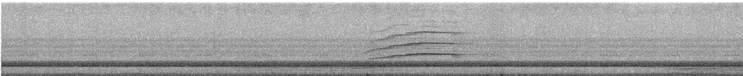 Northern Saw-whet Owl - ML643165581