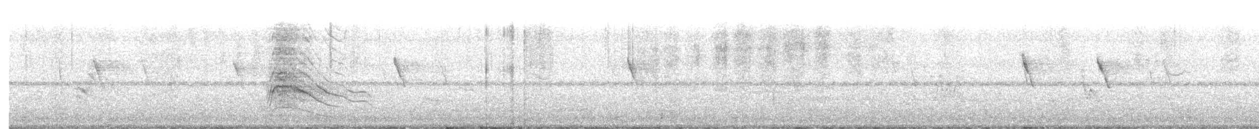Roadside Hawk - ML643166090