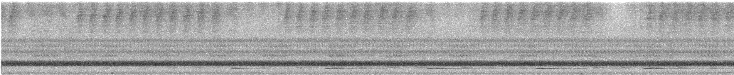 Northern Saw-whet Owl - ML643166252