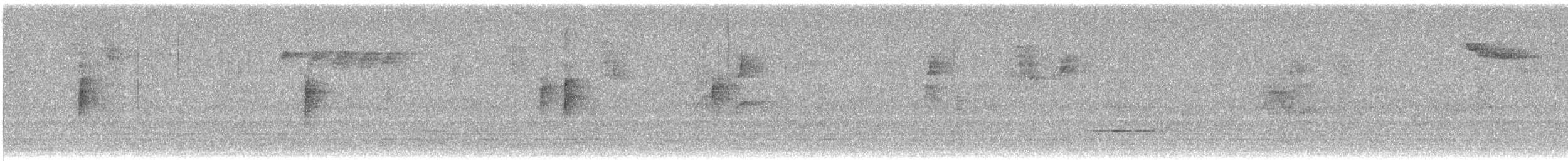 Kronenwaldsänger (Audubonwaldsänger) - ML643167348