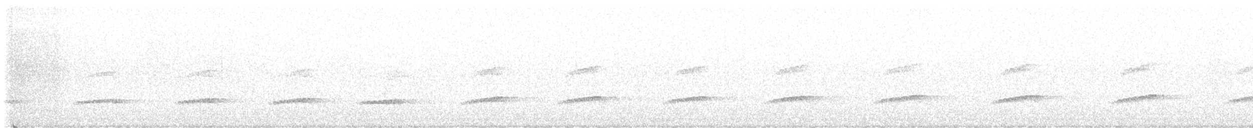 Little Spotted Kiwi - ML643169099