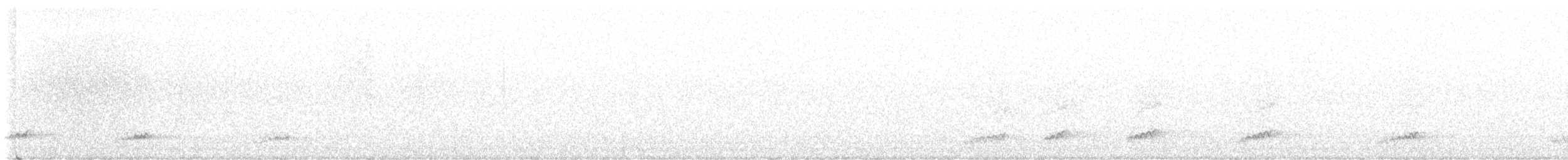 Little Spotted Kiwi - ML643169419