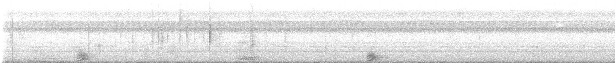 Indien-Zwergohreule - ML643169856