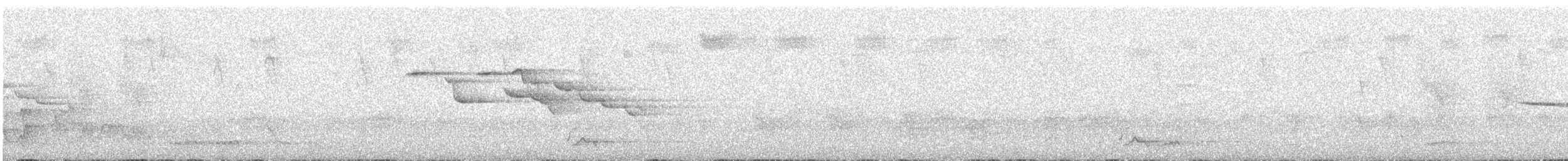 クレナイミツスイ - ML643169866