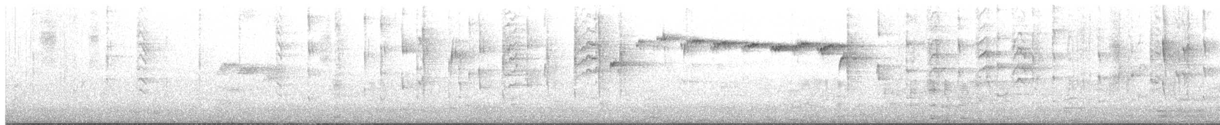 New Zealand Fantail - ML643171039