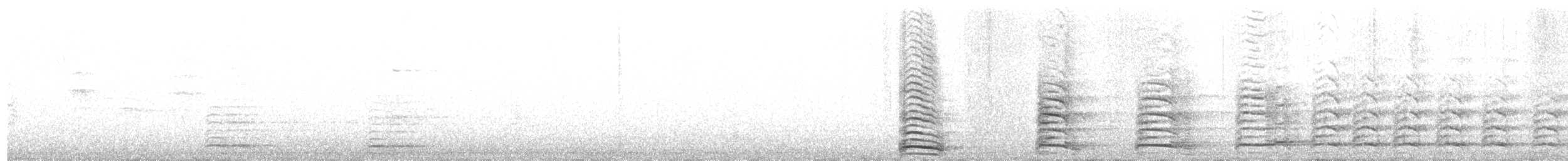 Kelp Gull - ML643171157