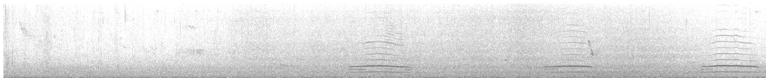 Tadorne de paradis - ML643171541