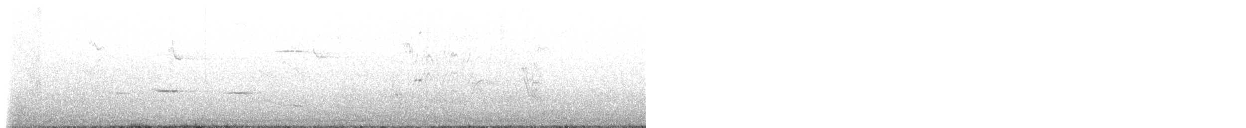 Méliphage tui - ML643171546