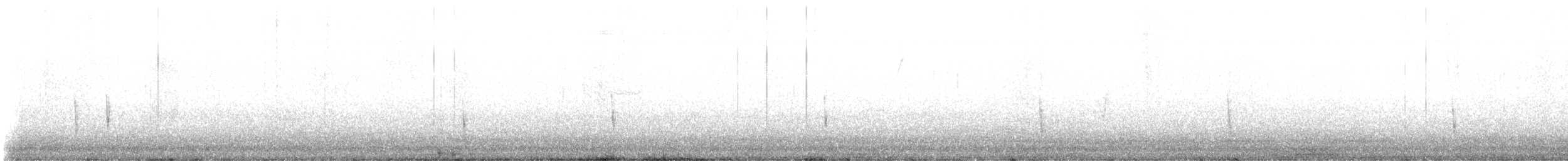 Hermit Thrush - ML643171560