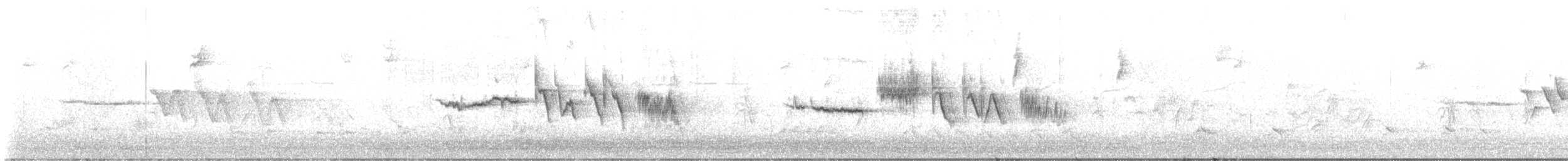 strnadec bělopásý - ML643171766