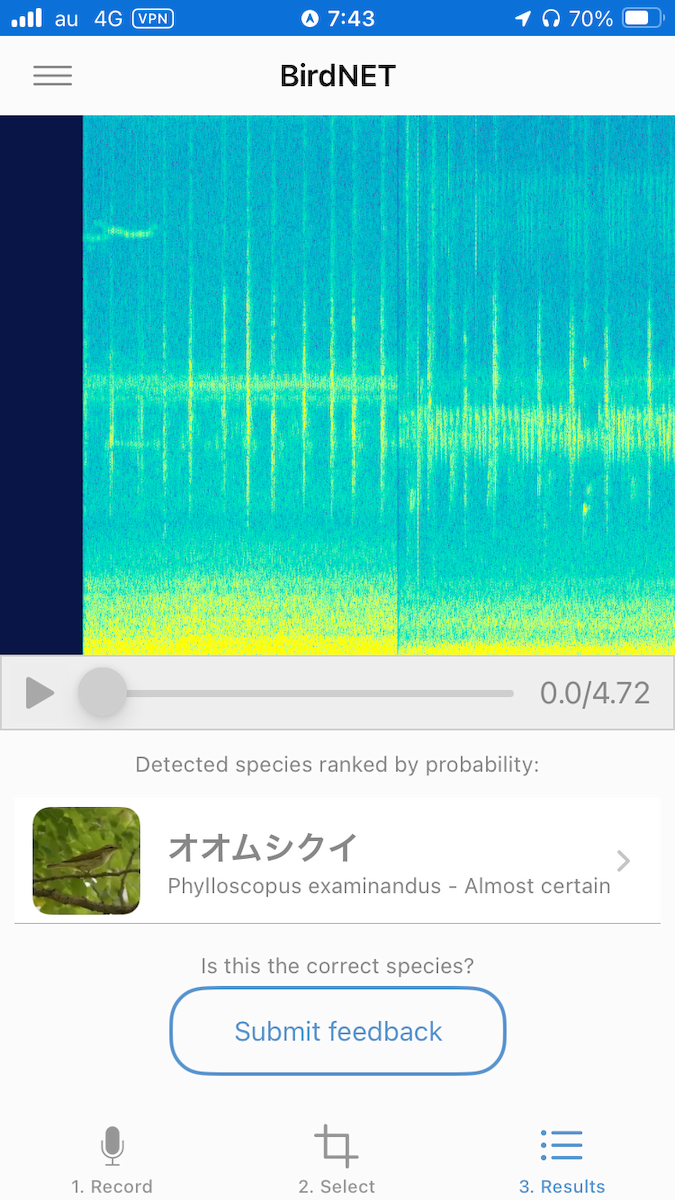 Kamchatka Leaf Warbler - ML643172433