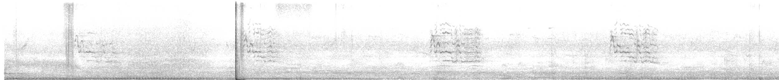 インドコサイチョウ - ML643173154