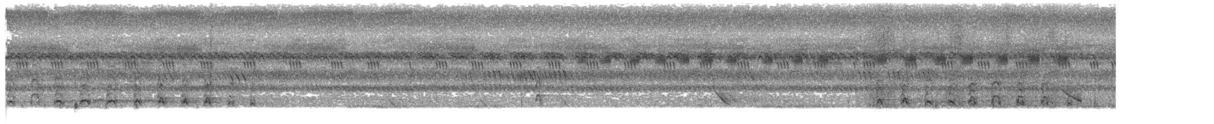 orienthornfugl - ML643173481