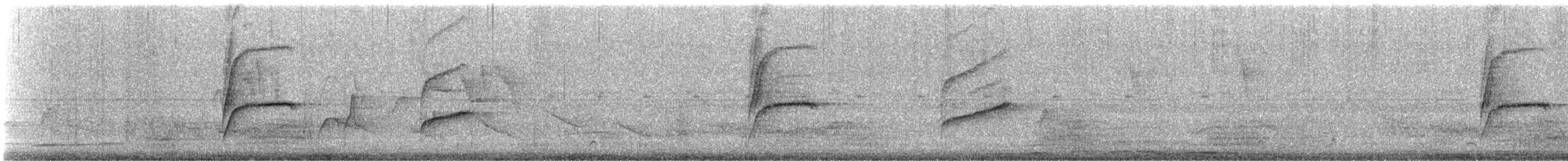 okerkinnpiggstjert - ML643176259