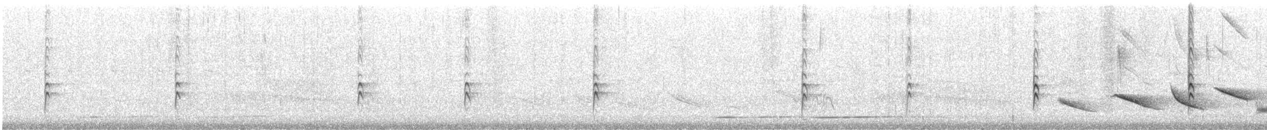 クロフウキンチョウ - ML643176287