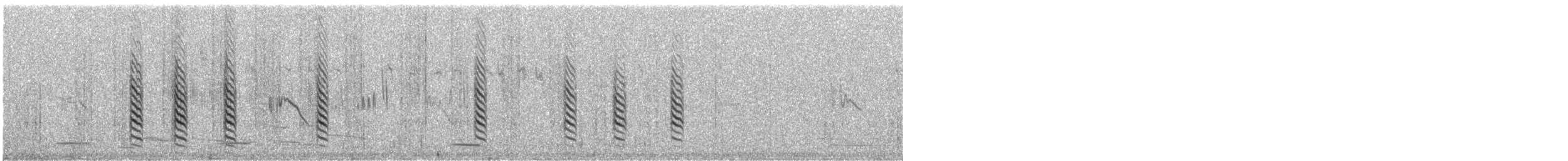 hvithodehonningskvett - ML643176721