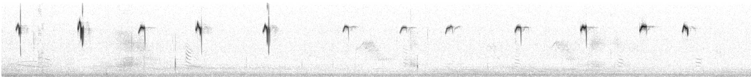 White-winged Fairywren - ML643176735